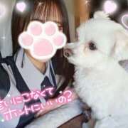 ヒメ日記 2025/07/01 23:00 投稿 ゆず abc＋