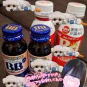 ヒメ日記 2025/07/28 08:46 投稿 ゆず abc＋