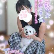 ヒメ日記 2025/08/08 12:17 投稿 ゆず abc＋