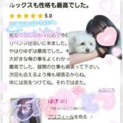 ヒメ日記 2025/08/11 10:18 投稿 ゆず abc＋