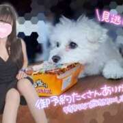 ヒメ日記 2025/08/15 12:10 投稿 ゆず abc＋