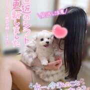 ヒメ日記 2025/08/23 13:18 投稿 ゆず abc＋