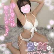 ヒメ日記 2025/08/23 16:04 投稿 ゆず abc＋