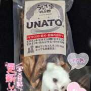 ヒメ日記 2025/08/25 11:38 投稿 ゆず abc＋