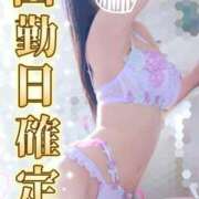 ヒメ日記 2025/11/04 12:30 投稿 ゆず abc＋