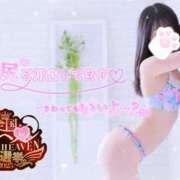 ヒメ日記 2025/11/20 09:31 投稿 ゆず abc＋