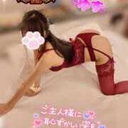 ヒメ日記 2025/11/20 11:00 投稿 ゆず abc＋