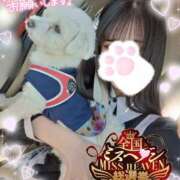 ヒメ日記 2025/11/21 10:06 投稿 ゆず abc＋