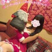 ヒメ日記 2025/12/13 18:09 投稿 ゆず abc＋