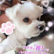 ヒメ日記 2026/01/07 17:12 投稿 ゆず abc＋