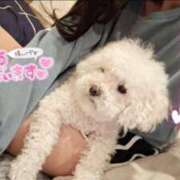 ヒメ日記 2026/01/10 23:50 投稿 ゆず abc＋