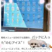 ヒメ日記 2026/01/20 11:12 投稿 ゆず abc＋