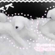 ヒメ日記 2026/02/08 11:13 投稿 ゆず abc＋