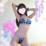 ヒメ日記 2026/02/11 17:20 投稿 ゆず abc＋