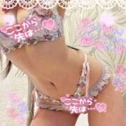 ヒメ日記 2026/02/25 23:01 投稿 ゆず abc＋