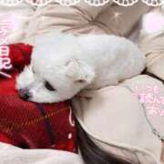 ヒメ日記 2026/03/30 05:45 投稿 ゆず abc＋