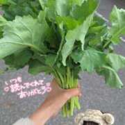 ヒメ日記 2026/04/04 10:50 投稿 ゆず abc＋