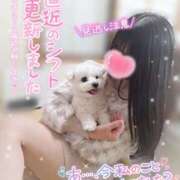 ヒメ日記 2026/04/14 09:42 投稿 ゆず abc＋