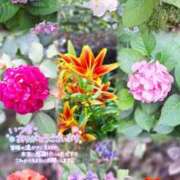 ヒメ日記 2026/06/24 14:35 投稿 ゆず abc＋