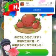 ヒメ日記 2026/06/26 15:49 投稿 ゆず abc＋