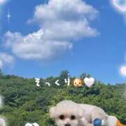 ヒメ日記 2026/07/26 02:34 投稿 ゆず abc＋