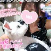 ヒメ日記 2026/07/26 08:41 投稿 ゆず abc＋