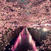 ヒメ日記 2025/04/25 17:30 投稿 森下　このみ ソープランド蜜 人妻・美熟女専門店