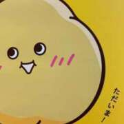 ヒメ日記 2026/06/08 19:52 投稿 森下　このみ ソープランド蜜 人妻・美熟女専門店