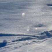 ヒメ日記 2024/12/22 18:20 投稿 内村(ｳﾁﾑﾗ) 小山人妻城