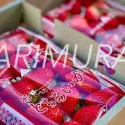 ヒメ日記 2026/01/22 17:00 投稿 有村(ｱﾘﾑﾗ) 小山人妻城