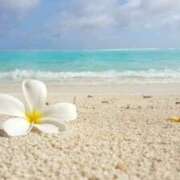 有村(ｱﾘﾑﾗ) お知らせ 小山人妻城