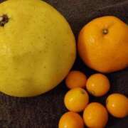 ヒメ日記 2026/02/09 16:23 投稿 ココ 府中ダービー