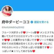 ココ 明日もいるの！ 府中ダービー