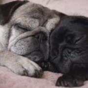 ヒメ日記 2026/03/16 11:03 投稿 ココ 府中ダービー