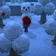 ヒメ日記 2024/12/22 18:30 投稿 ひな 恋のうた