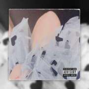 ヒメ日記 2025/03/26 23:45 投稿 ひな 恋のうた