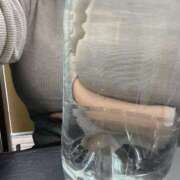 ヒメ日記 2025/03/28 16:49 投稿 ひな 恋のうた