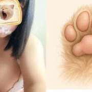 ヒメ日記 2025/05/03 14:41 投稿 ひな 恋のうた