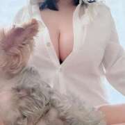 ヒメ日記 2025/06/01 15:03 投稿 ひな 恋のうた