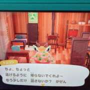 ヒメ日記 2025/07/24 15:39 投稿 ひな 恋のうた