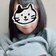 ヒメ日記 2025/11/16 23:33 投稿 ひな 恋のうた