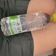 ヒメ日記 2026/01/15 14:29 投稿 ひな 恋のうた