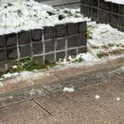 ヒメ日記 2026/02/08 23:16 投稿 ひな 恋のうた