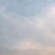 ヒメ日記 2026/04/03 19:59 投稿 ひな 恋のうた