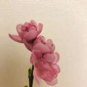 ヒメ日記 2025/03/03 22:09 投稿 あすな 奥鉄オクテツ東京店（デリヘル市場）