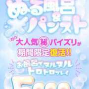 ヒメ日記 2023/11/08 19:20 投稿 蓮香 BBW（ビッグビューティフルウーマン）