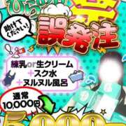 ヒメ日記 2024/12/07 10:36 投稿 蓮香 BBW（ビッグビューティフルウーマン）