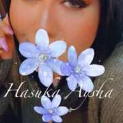 ヒメ日記 2025/02/14 22:49 投稿 蓮香 BBW（ビッグビューティフルウーマン）