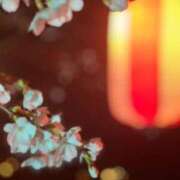 ヒメ日記 2025/04/05 23:16 投稿 蓮香 BBW（ビッグビューティフルウーマン）