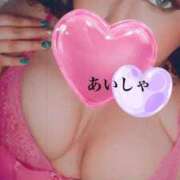 ヒメ日記 2025/04/05 23:29 投稿 蓮香 BBW（ビッグビューティフルウーマン）